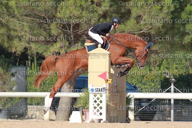 INSELVINI_QUIDORADO_GIO CAV 2011_SS3_6572.jpg